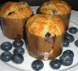 blueberry muffins 1